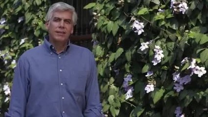 22875-wp-Video post 2