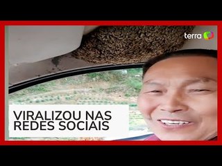 Homem viraliza ao dirigir com colônia de abelhas sobre a cabeça na China