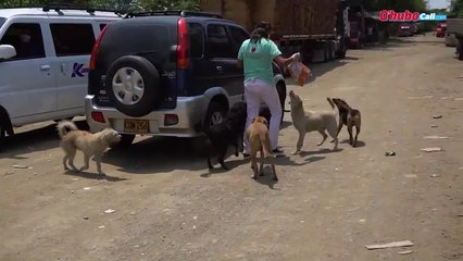 Qhubo-video-30840.mp4