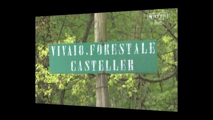 vivaio forestale casteller trento