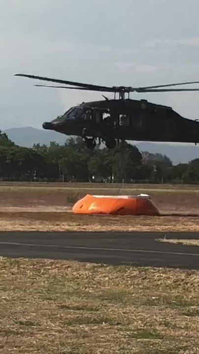 bambi bucket (2)