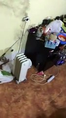 Diamon so funny clip