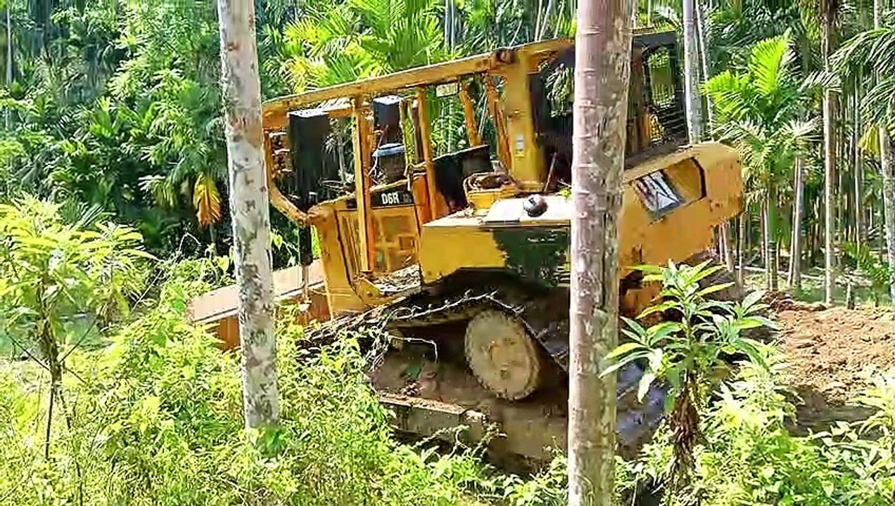 D6R XL Bulldozer Repairs Plantation Road at The Foot of The Mountain