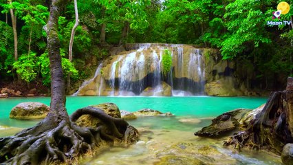 Deep Meditation Music for Relaxation & Inner Peace 🎶