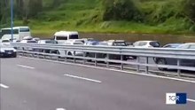 Cavallo contromano in tangenziale a Napoli