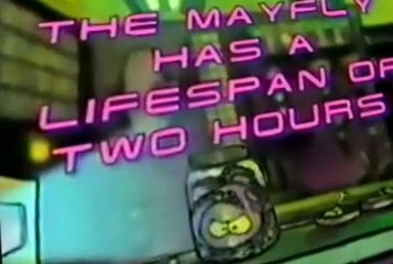 Cartoon Sushi Cartoon Sushi E008