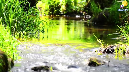 Instrumental Music for Mindfulness Practice