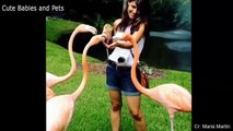 Funny Animals Scarring And Chasing People 2021 Compilation