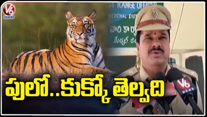 Forest Range Officer Condemns Tiger Wandering News | Medchal District | V6 News