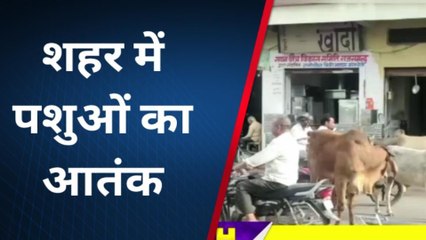 राजसमंद: प्रशासन की लापरवाही का खामियाजा भुगत रही जनता, देखिए ख़बर