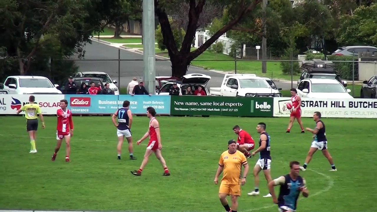 South Bendigo's goals versus Eaglehawk