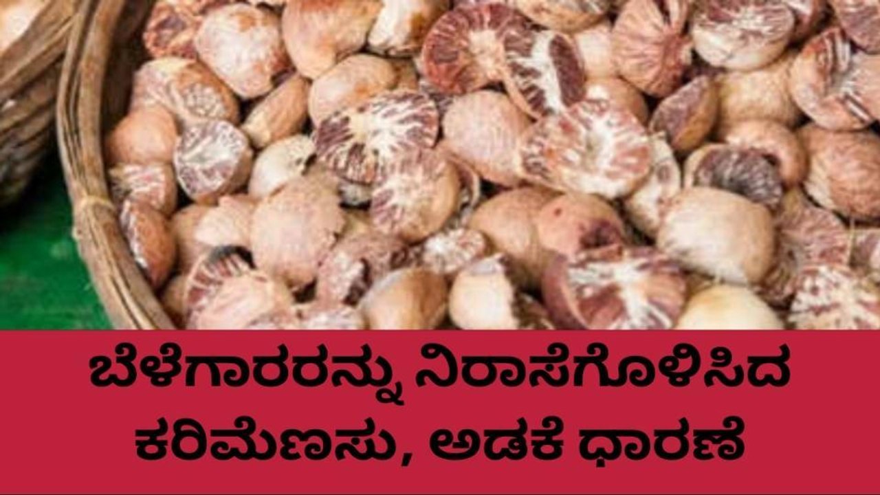 ಕೊಡಗು: ಹೀಗಿದೆ ಇಂದಿನ ಕರಿಮೆಣಸು ,ಅಡಕೆ ಧಾರಣೆ