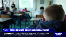 Peut-on vraiment remplacer 