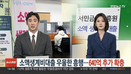 소액생계비대출 우울한 흥행…640억 추가 확충