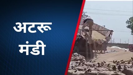 बाराँ: अनाज मंडी में कृषि जिंसो की आवक जारी, जानिए क्या है भाव ?