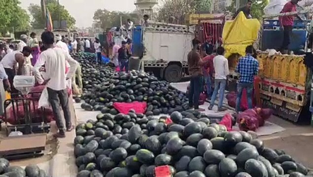 अलवर सब्जी मंडी में तरबूज की बंपर आवक पैर रखने की भी जगह नहीं बची