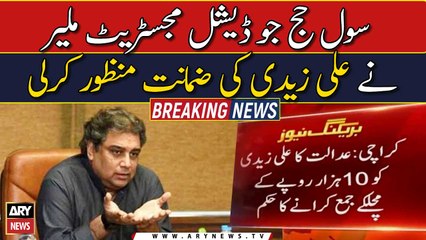 Ali Zaidi gets bail from Malir court