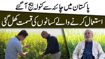 Pakistan mei China se Canola beech agaye, istemal karnay walay kissano ki qismat khul gai