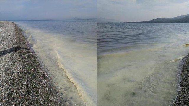 Marmara Denizi’nde görüldü… Kâbus hortladı!