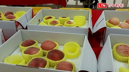 台中太平「紅鈴」水蜜桃榮獲評鑑冠軍🍑 李香慧成為水蜜桃達人