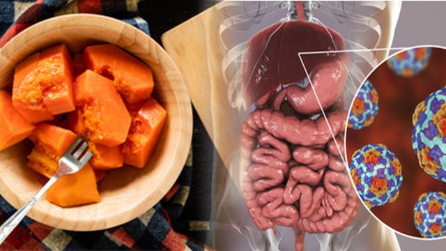 रोज पपीता खाने से क्या होता है | Roj Papita Khane Se Kya Hota Hai | Boldsky