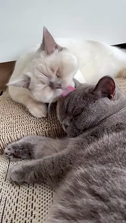 Talya & Mochi