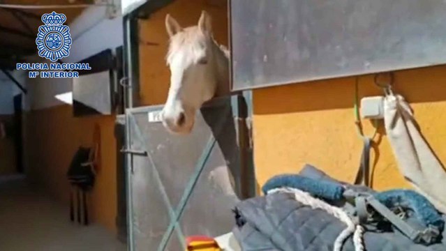 Las hípicas de los horrores: 8 empresarios detenidos por explotación laboral de inmigrantes ilegales