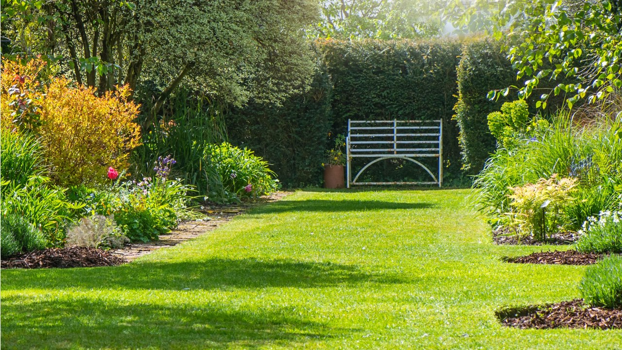 Gartentipps von Experten: So wird der Rasen zum grünen Schmuckstück