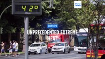 'Frightening': Scientists confirm 2022 was Europe's second warmest year and hottest summer ever