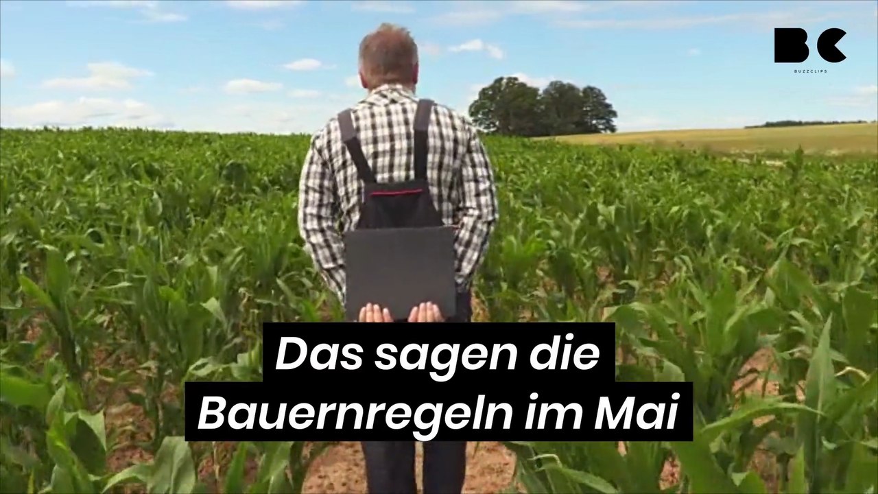 Das sagen die Bauernregeln im Mai