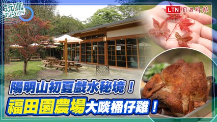 陽明山福田園農場親子避暑好去處🌿 夏日享受多汁桶仔雞與自然美景