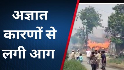 सिद्धार्थनगर: जिले में अज्ञात कारणों से लगी आग, देखें वीडियो