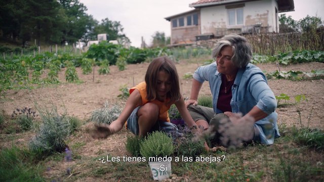 20.000 especies de abejas - Tráiler oficial -