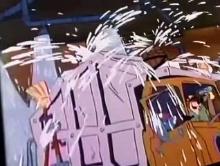 CB Bears CB Bears E004