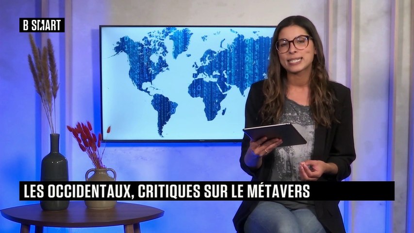 Les Occidentaux, critiques sur le métavers