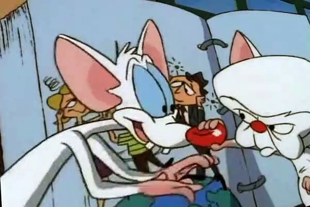 Pinky and the Brain Pinky and the Brain S02 E013 The Maze