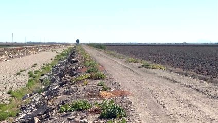 Europa vivió en 2022 el segundo año más cálido de su historia