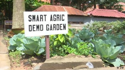 Ugandan students reuse plastic waste for urban farming