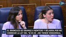 El broncazo de Oramas a Montero y Belarra por no corregir la ley del 'sí es sí: «No tienen vergüenza»