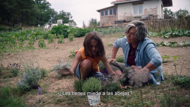 Tráiler de '20.000 especies de abejas'