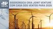 ArcelorMittal investe US$ 800 milhões em parque eólico no Brasil
