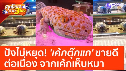 ปังไม่หยุด! 'เค้กตุ๊กแก' ขายดีต่อเนื่อง จากเค้กเห็บหมา (20 เม.ย. 66) คุยโขมงบ่าย 3 โมง