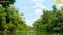 18 Scary Moments Crocodiles Suddenly Rushed To Grab The Heads Of Notorious African Predators