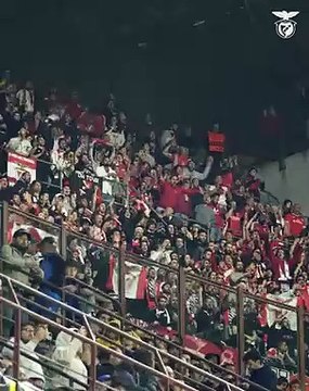 Apoio adeptos Benfica