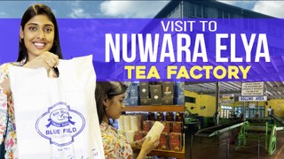 Visit To Nuwara Eliya Tea Factory   | Last Day in Sri Lanka❤️ | Gayathri Reddy