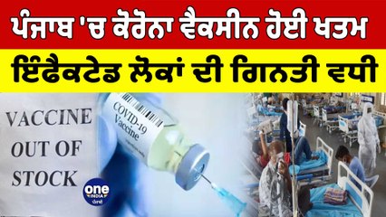 ਪੰਜਾਬ 'ਚ Corona Vaccine ਹੋਈ ਖਤਮ ਇੰਫੈਕਟੇਡ ਲੋਕਾਂ ਦੀ ਗਿਣਤੀ ਵੱਧੀ | Corona News | OneIndia Punjabi