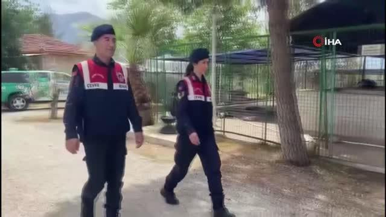'Cesi' isimli köpek depremden 73 gün sonra sahibine teslim edildi