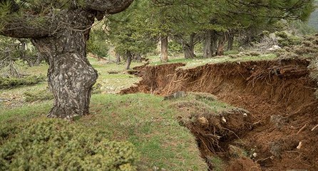 Kahramanmaraş’ta yüzey kırıkları tarlaları parçalara böldü