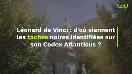 L’origine des taches noires sur le Codex Atlanticus de Léonard de Vinci