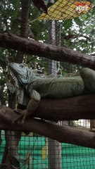 Marine Aqua Zoo विविध प्रकारचे प्राणी-पक्षी पाहा फक्त ₹२० रुपयात Short_1